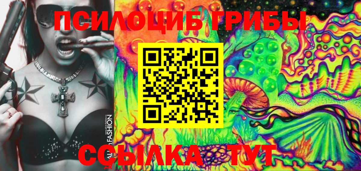 Псилоцибиновые грибы Psilocybine cubensis Ишимбай