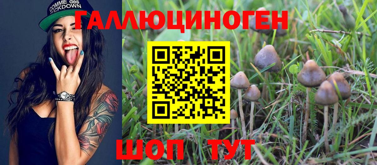 Псилоцибиновые грибы GOLDEN TEACHER  как найти закладки  Ишимбай  Вход с VPN 
